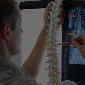 man pointing at a vertebrae in a spine model